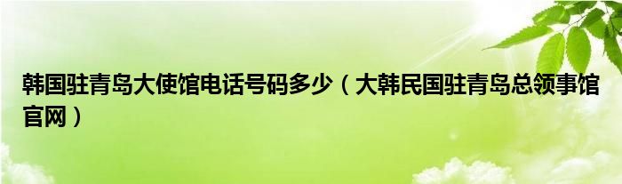 韩国驻青岛大使馆电话号码多少（大韩民国驻青岛总领事馆官网）