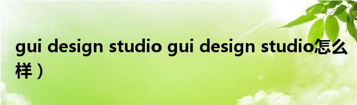 gui design studio gui design studio怎么样）