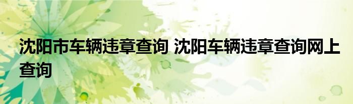 沈阳市车辆违章查询 沈阳车辆违章查询网上查询