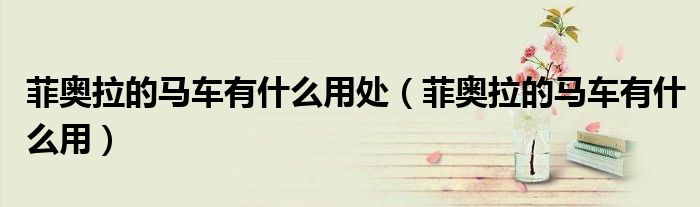 菲奥拉的马车有什么用处（菲奥拉的马车有什么用）