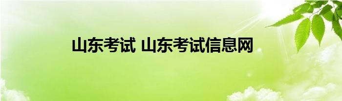 山东考试 山东考试信息网