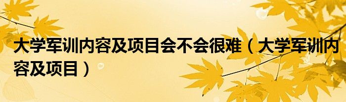 大学军训内容及项目会不会很难（大学军训内容及项目）