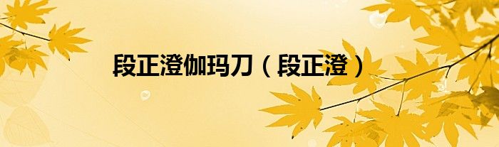 段正澄伽玛刀（段正澄）