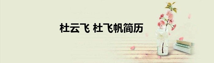 杜云飞 杜飞帆简历