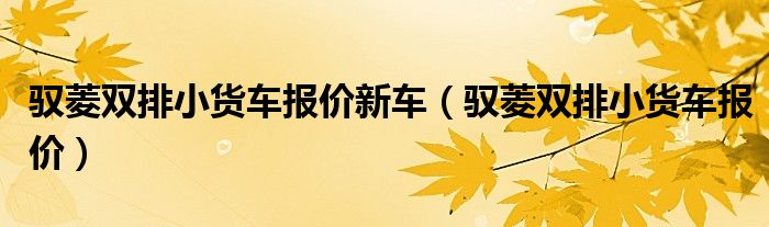 驭菱双排小货车报价新车（驭菱双排小货车报价）
