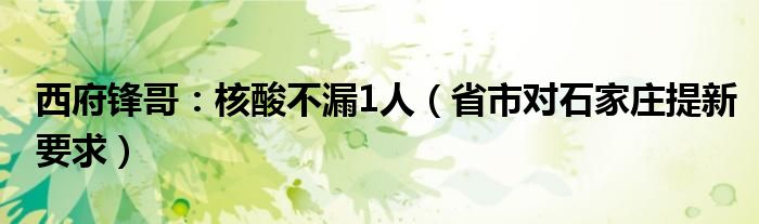 西府锋哥：核酸不漏1人（省市对石家庄提新要求）