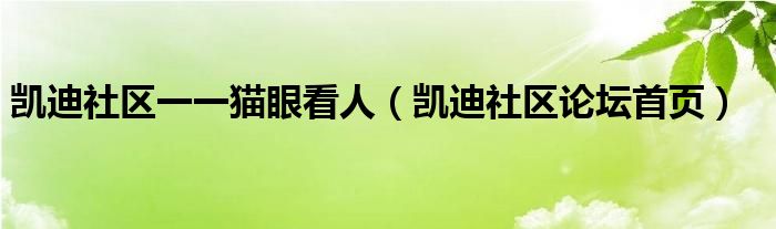 凯迪社区一一猫眼看人（凯迪社区论坛首页）