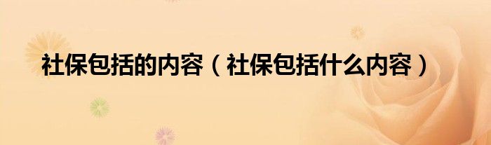 社保包括的内容（社保包括什么内容）