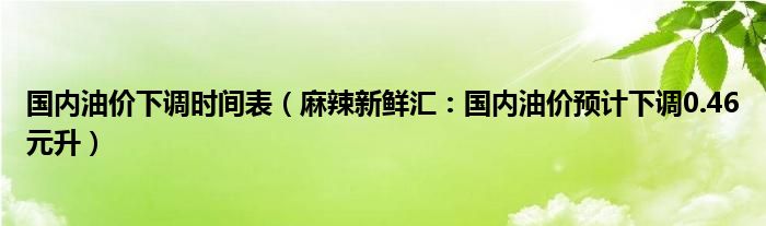 国内油价下调时间表（麻辣新鲜汇：国内油价预计下调0.46元升）