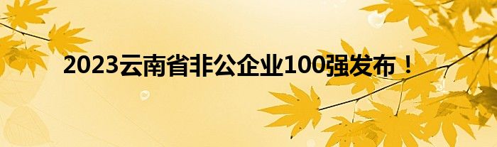 2023云南省非公企业100强发布！