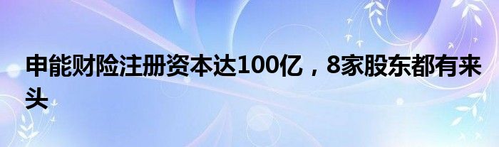 申能财险注册资本达100亿，8家股东都有来头