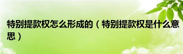 特别提款权怎么形成的（特别提款权是什么意思）