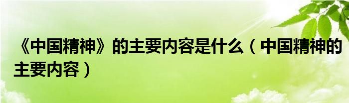 《中国精神》的主要内容是什么（中国精神的主要内容）