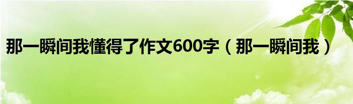 那一瞬间我懂得了作文600字（那一瞬间我）