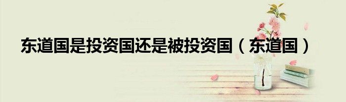 东道国是投资国还是被投资国（东道国）