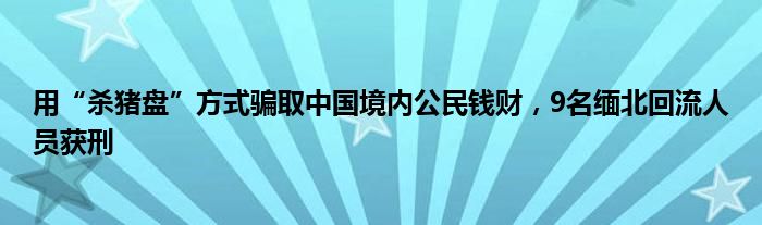 用“杀猪盘”方式骗取中国境内公民钱财，9名缅北回流人员获刑