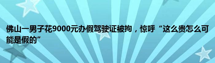 佛山一男子花9000元办假驾驶证被拘，惊呼“这么贵怎么可能是假的”