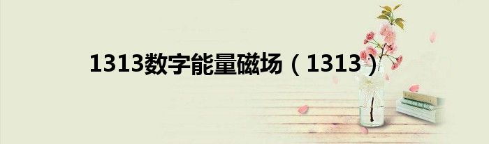 1313数字能量磁场（1313）