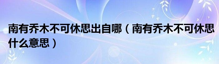 南有乔木不可休思出自哪（南有乔木不可休思什么意思）