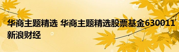 华商主题精选 华商主题精选股票基金630011新浪财经