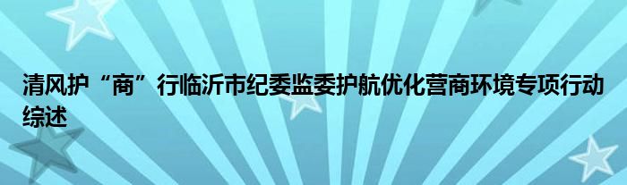 清风护“商”行临沂市纪委监委护航优化营商环境专项行动综述