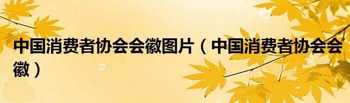 中国消费者协会会徽图片（中国消费者协会会徽）