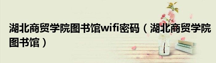 湖北商贸学院图书馆wifi密码（湖北商贸学院图书馆）
