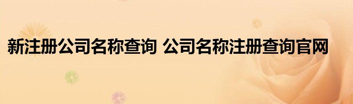 新注册公司名称查询 公司名称注册查询官网