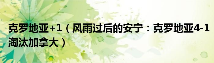 克罗地亚+1（风雨过后的安宁：克罗地亚4-1淘汰加拿大）