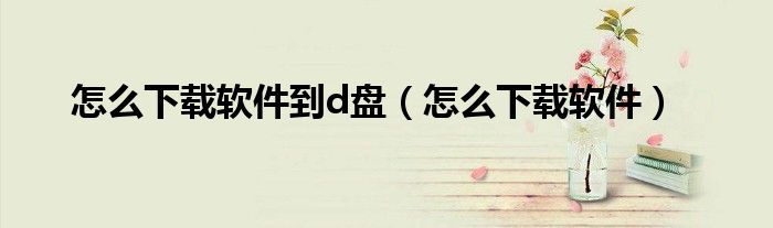 怎么下载软件到d盘（怎么下载软件）