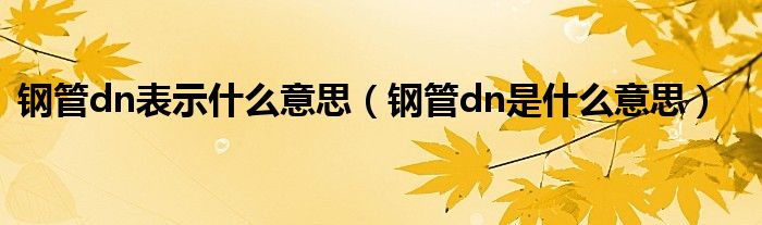 钢管dn表示什么意思（钢管dn是什么意思）