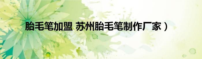 胎毛笔加盟 苏州胎毛笔制作厂家）
