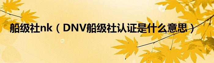 船级社nk（DNV船级社认证是什么意思）