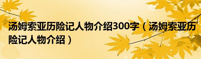 汤姆索亚历险记人物介绍300字（汤姆索亚历险记人物介绍）