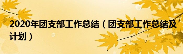 2020年团支部工作总结（团支部工作总结及计划）