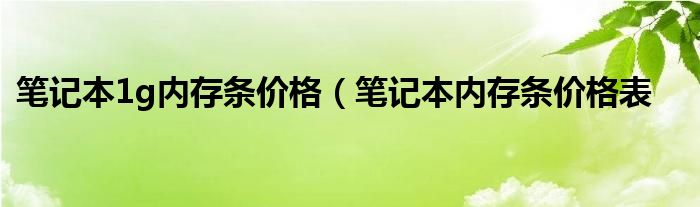 笔记本1g内存条价格（笔记本内存条价格表