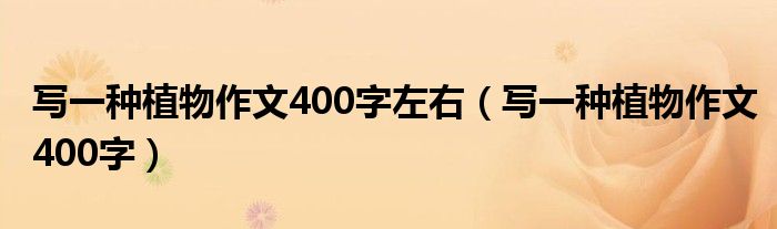 写一种植物作文400字左右（写一种植物作文400字）