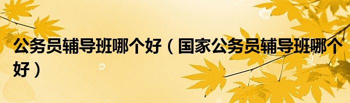 公务员辅导班哪个好（国家公务员辅导班哪个好）