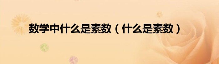 数学中什么是素数（什么是素数）