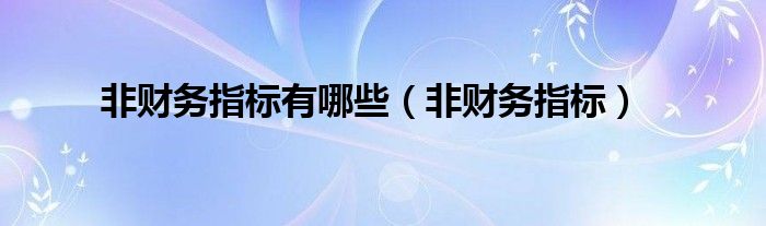 非财务指标有哪些（非财务指标）