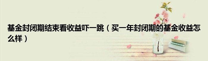 基金封闭期结束看收益吓一跳（买一年封闭期的基金收益怎么样）