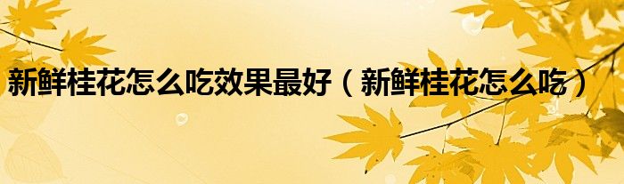 新鲜桂花怎么吃效果最好（新鲜桂花怎么吃）