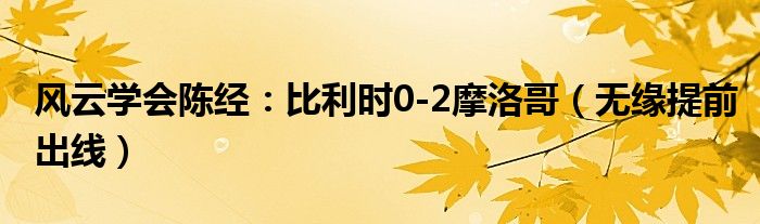 风云学会陈经：比利时0-2摩洛哥（无缘提前出线）