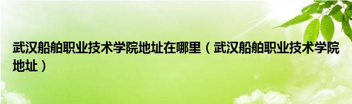 武汉船舶职业技术学院地址在哪里（武汉船舶职业技术学院地址）