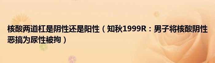 核酸两道杠是阴性还是阳性（知秋1999R：男子将核酸阴性恶搞为尿性被拘）