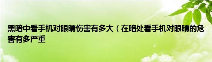 黑暗中看手机对眼睛伤害有多大（在暗处看手机对眼睛的危害有多严重
