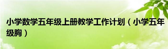 小学数学五年级上册教学工作计划（小学五年级胸）