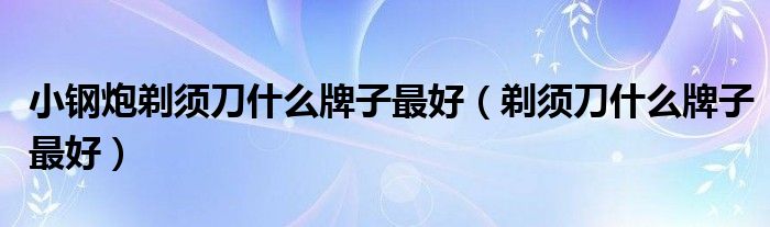 小钢炮剃须刀什么牌子最好（剃须刀什么牌子最好）