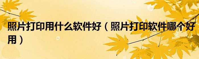 照片打印用什么软件好（照片打印软件哪个好用）