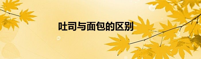 吐司与面包的区别